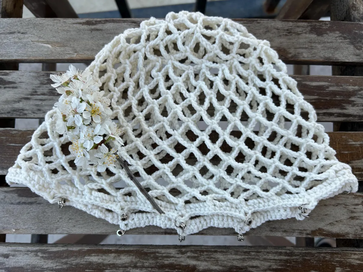 Vanilla Net